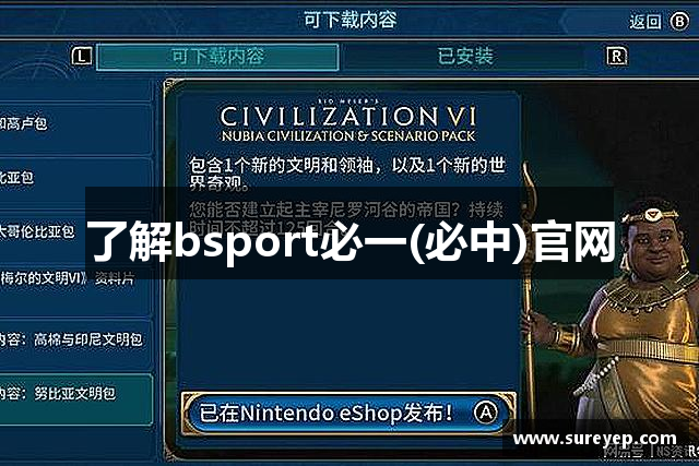 了解bsport必一(必中)官网